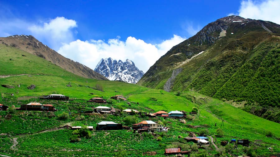 ჯუთა