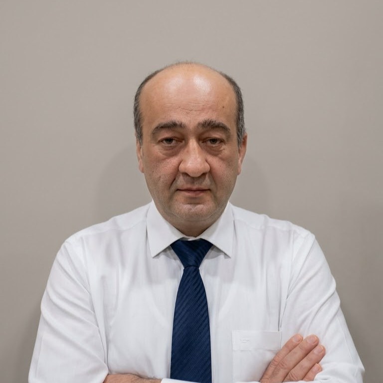Торнике Н.
